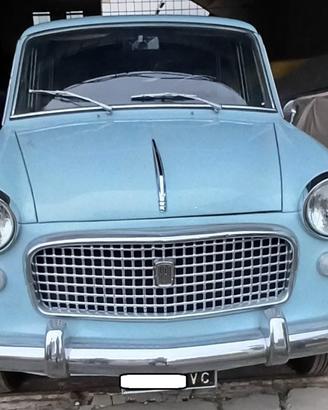 FIAT 1100 SPECIAL