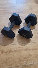 Coppia manubri Decathlon 10 kg