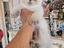 Immagine 1