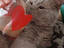 Immagine 3
