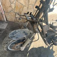 forcella benelli velvet