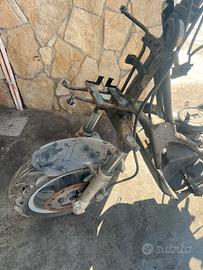 forcella benelli velvet