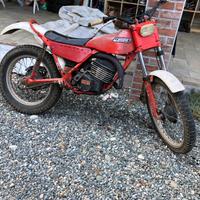 Trial fantic