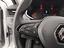 Immagine 14