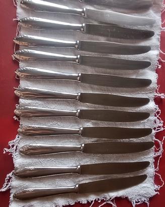 Coltelli in acciaio inox