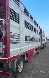 DAF TRUCKS + RIMORCHIO PER TRASPORTO ANIMALI VIVI