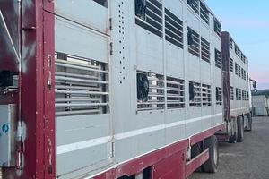 DAF TRUCKS + RIMORCHIO PER TRASPORTO ANIMALI VIVI