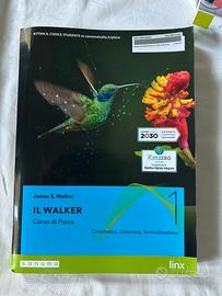 Il Walker 1+Laboratorio