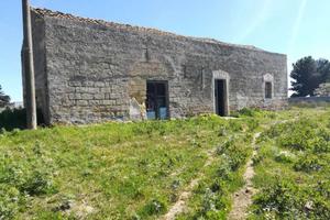 Rustico con uliveto A rilievo