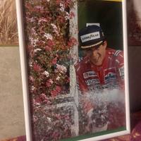 Quadretto Ayrton Senna 