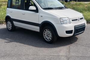 Fiat Panda 1.2 4x4 Climbing