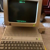 Apple Iic