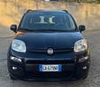 fiat-panda-1-2-trussardi-lounge