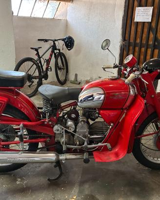 Guzzi Falcone, Superalce e Sertum 500