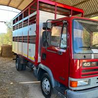 Camion trasporto animali vivi