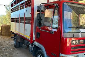 Camion trasporto animali vivi