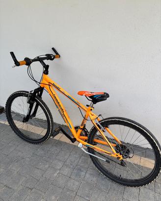 Mountain bike Lombardo MTB Advanced Tropea 24