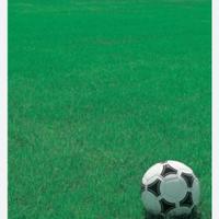 Miscuglio per Tappeti Erbosi Sport Resistente