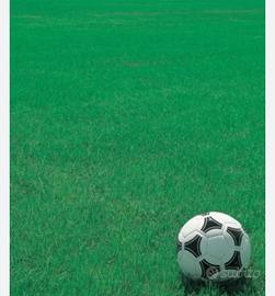 Miscuglio per Tappeti Erbosi Sport Resistente