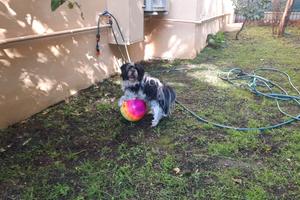 Varazze Trilocale Giardino Privato Vista Mare