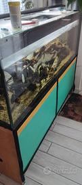 Acquario- Vasca