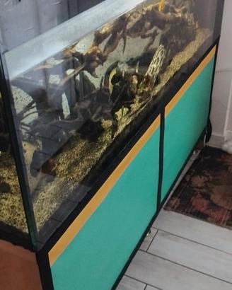 Acquario- Vasca