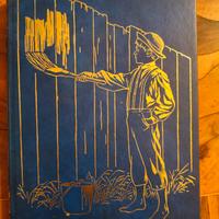 Le avventure di Tom Sawyer