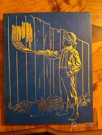 Le avventure di Tom Sawyer