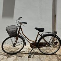 bicicletta