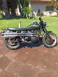 Triumph Scrambler 900 - 2008