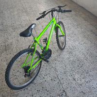 Bicicletta 24 per bambini verde 
