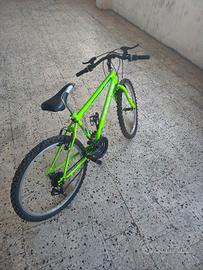 Bicicletta 24 per bambini verde 