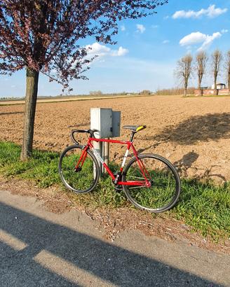 bici Colnago 