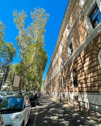 Prati - cessione di attività bar / tavola calda
