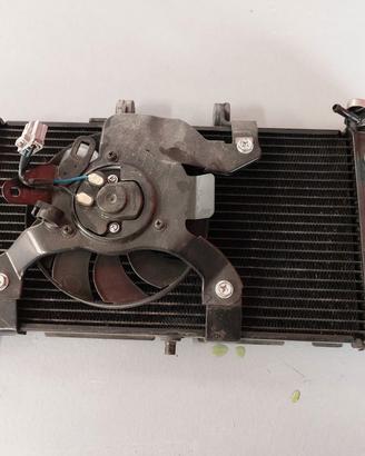 Radiatore e ventola integra
