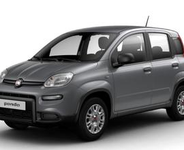 Fiat Panda 1.0 FireFly S&S Hybrid in arrivo