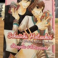 GOENSekaiichi Hatsukoi-La storia di Ritsu Onodera