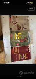 L&L Concise + Towards the exam + mapping literatur