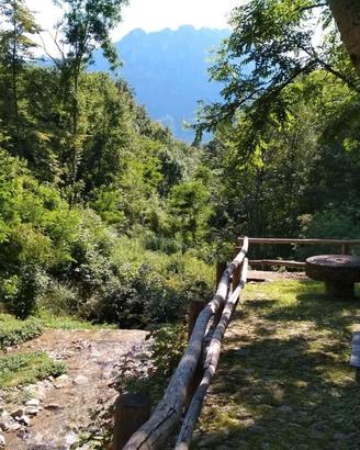 Trilocale con giardino a Margno