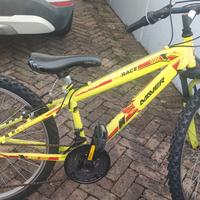 bicicletta maschietto 8-12 anni 