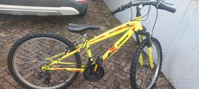 bicicletta maschietto 8-12 anni 