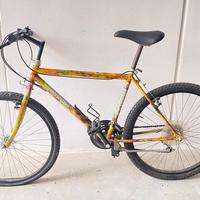 Rampichino con cambio shimano