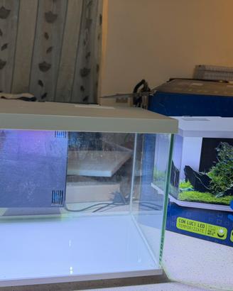 Acquario 30 litri