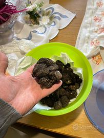 Tartufo nero invernale fresco
