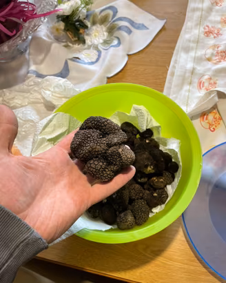 Tartufo nero invernale fresco