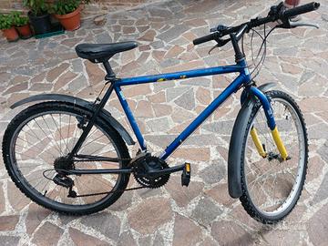 Bicicletta 26" Montagna 5 Marce