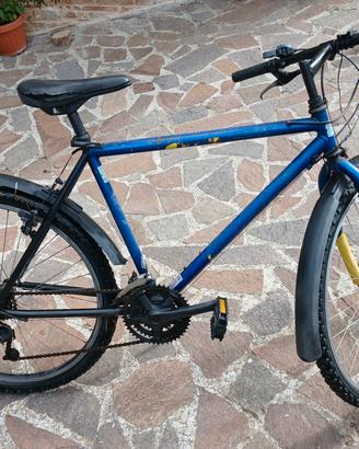 Bicicletta 26" Montagna 5 Marce