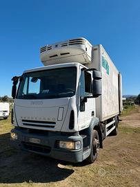 Eurocargo frigo