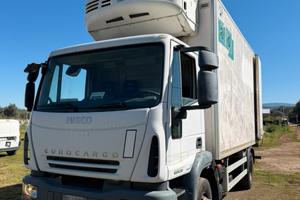 Eurocargo frigo