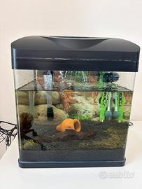 Acquario amtra 18L completo di accessori